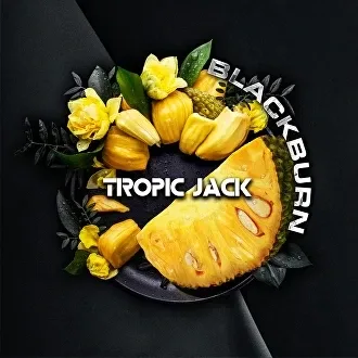 Табак для кальяна Black Burn Tropic Jack (Спелый Джекфрут) 100 гр