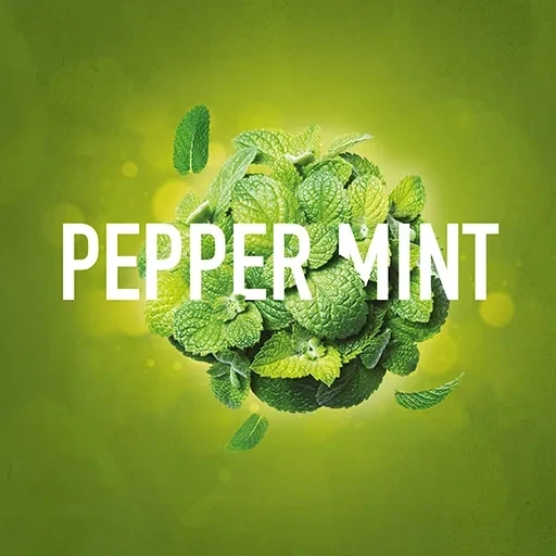 Табак для кальяна Must Have Peppermint (Перечная мята) 125 гр