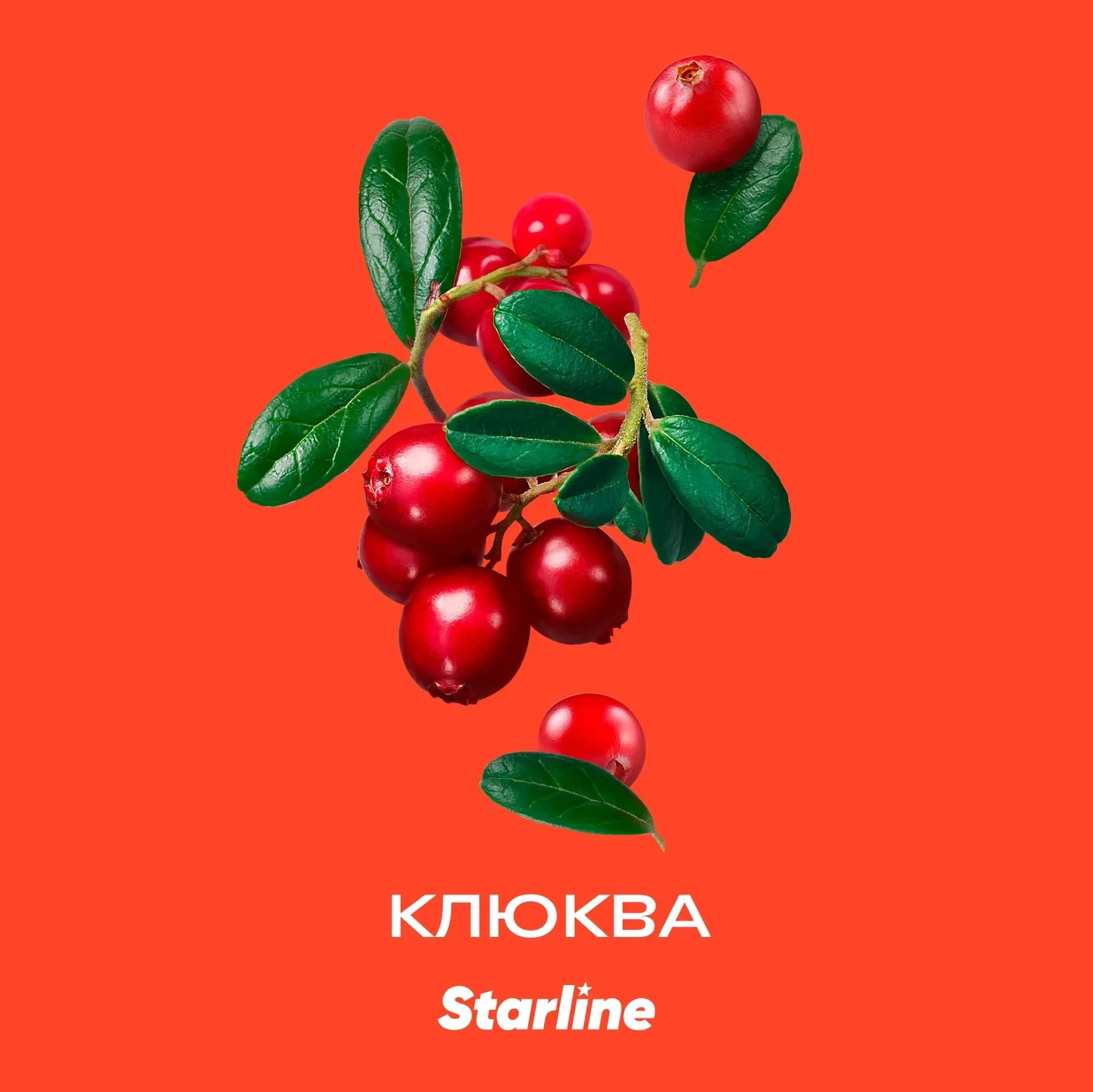 Табак для кальяна Starline Клюква 25 гр