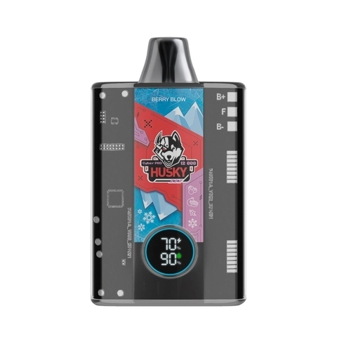 ЭСДН Cyber Pro Husky (12000) 2% (Чз) - Berry Blow (Черника Гранат Ваниль Лёд), 10Шт/Блок