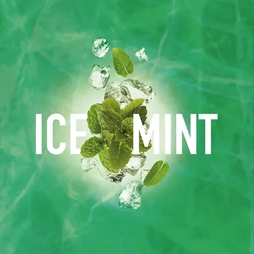 Табак для кальяна Must Have Ice Mint (Ледяная Мята) 125 гр