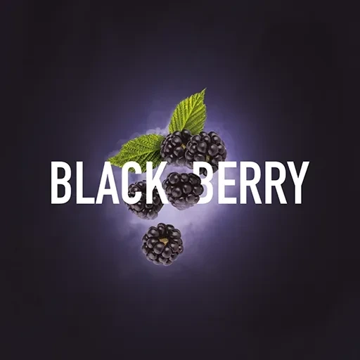 Табак для кальяна Must Have Blackberry (Ежевика) 125 гр