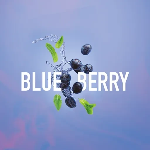Табак для кальяна Must Have Blueberry (Черника) 125 гр