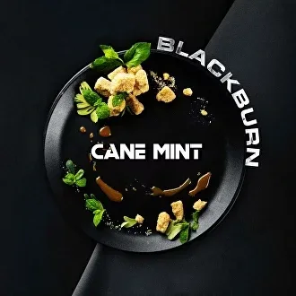 Табак для кальяна Black Burn Cane Mint (Тростниковая Мята) 100 гр