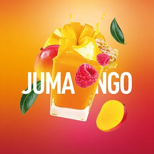 Табак для кальяна Must Have Jumango (Манго Малина Мёд) 125 гр