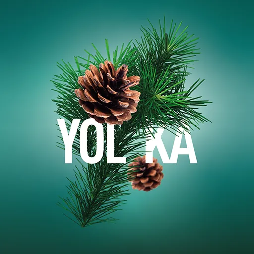 Табак для кальяна Must Have Yolka (Хвойный Лес) 125 гр