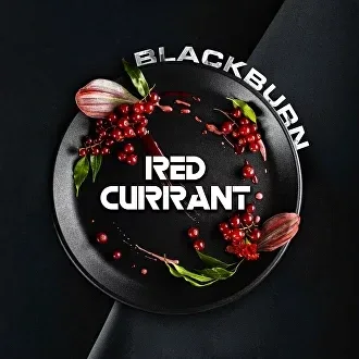 Табак для кальяна Black Burn Red Currant (Красная Смородина) 100 гр