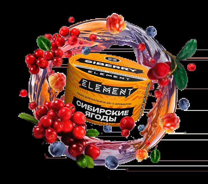 Табак для кальяна Element Siberry (Брусника Клюква Морошка Черника) Earth 25 гр