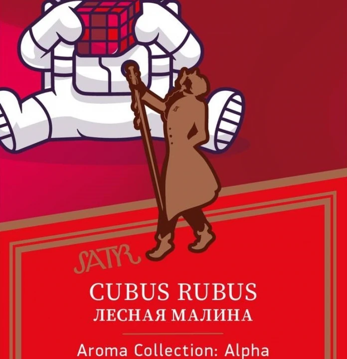 Табак для кальяна Satyr Cubus Rubus (Лесная Малина) 25 гр