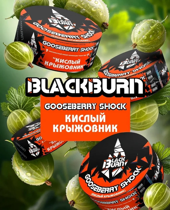 Табак для кальяна Black Burn Gooseberry Shock (Кислый Крыжовник) 100 гр