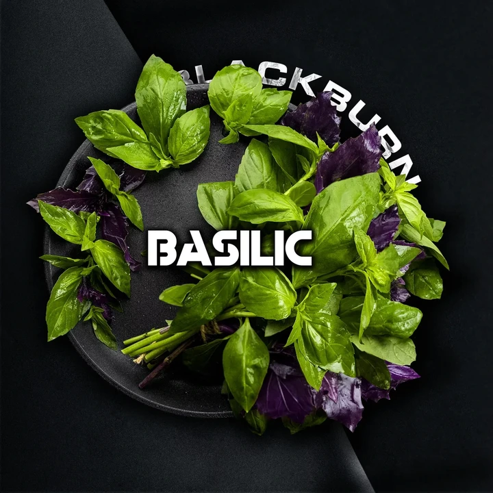 Табак для кальяна Black Burn Basilic (Базилик) 100 гр