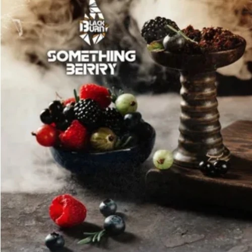 Burn BLACK Something berry 25гр МРК
